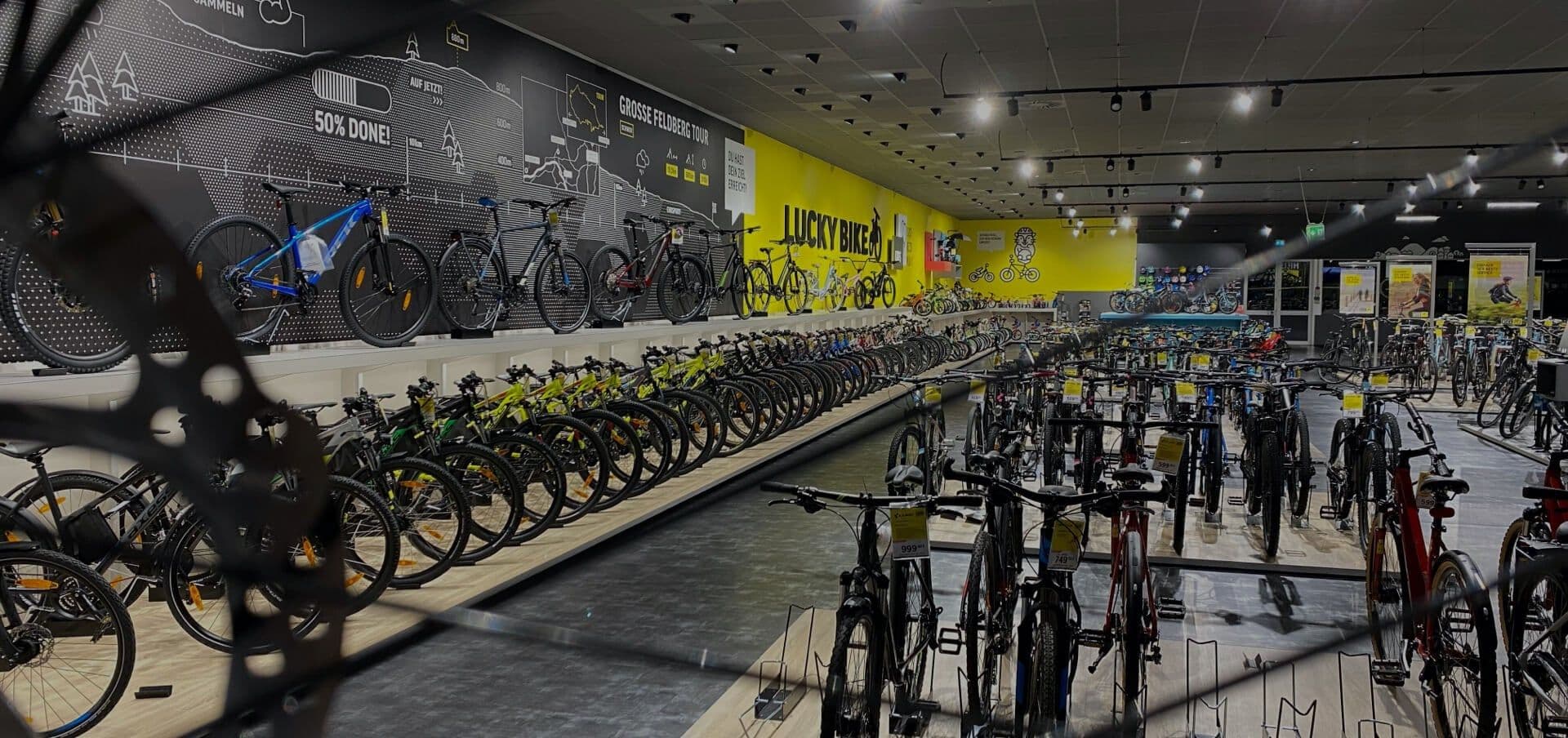 Image of Lucky-Bike